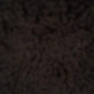 Meet your Posher, Jandy